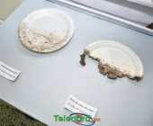 telenord08264 telenord08264