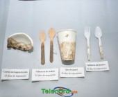 telenord083 telenord083