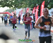 telenord618 telenord618
