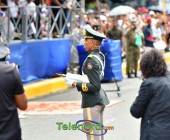 telenord00449 telenord00449