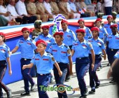 telenord00779 telenord00779