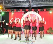 telenord00152 telenord00152