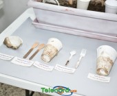 telenord012