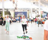 telenord054 telenord054
