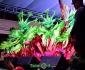 telenord581 telenord581